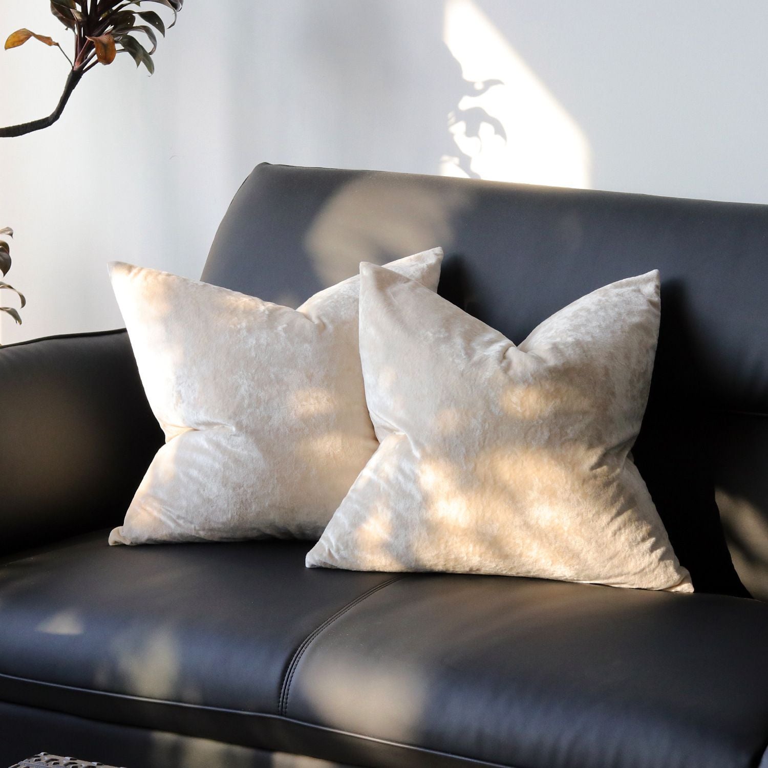 Ice Velvet Pillow Cover Polyester Solid Color 30x50cm Beige 55*55cm without pillow core
