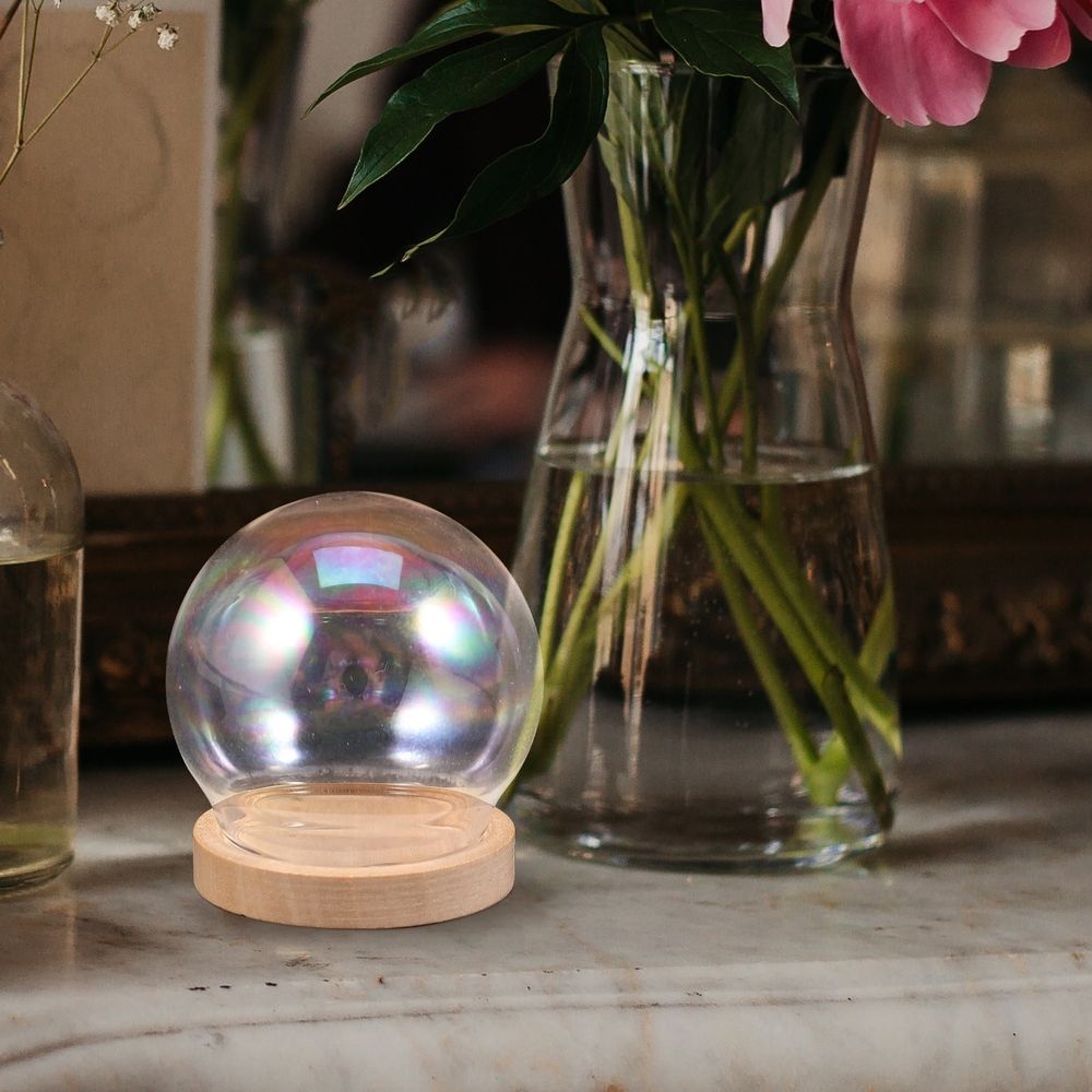 Flower Glass Cover Decor Glass Dome Transparent Wood 1 Set