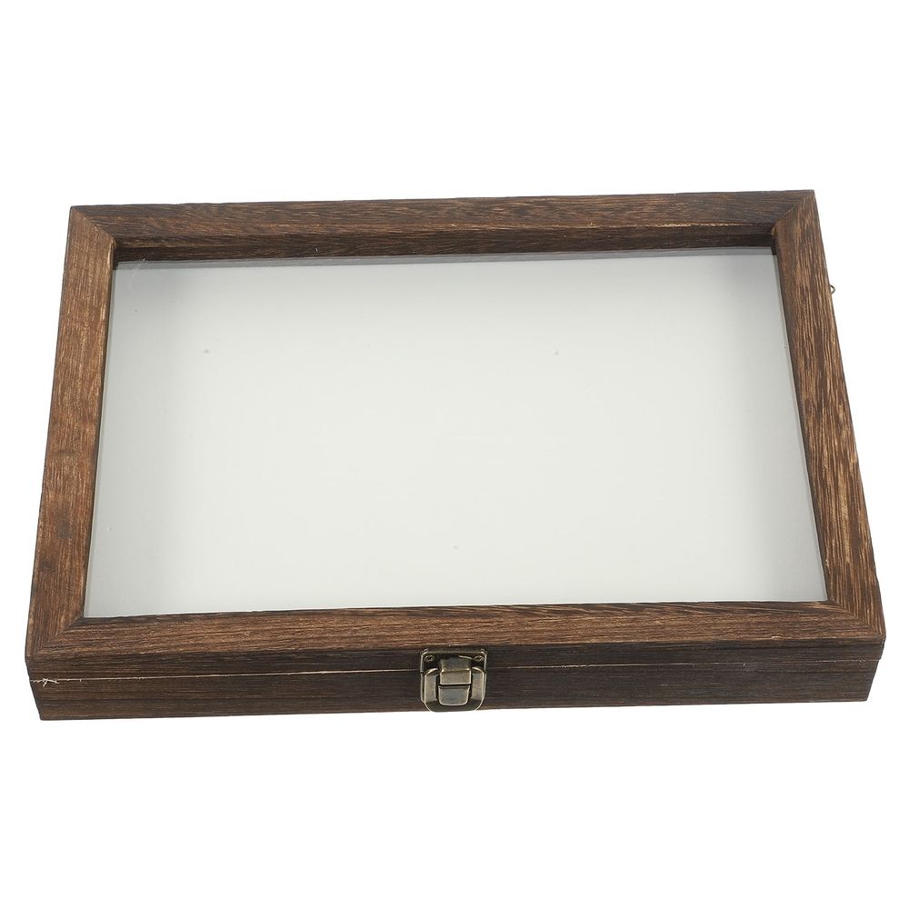 Insect Display Box for Kids, 31x22x4.5cm, Coffee Color, Educational Pinning Kit for Children