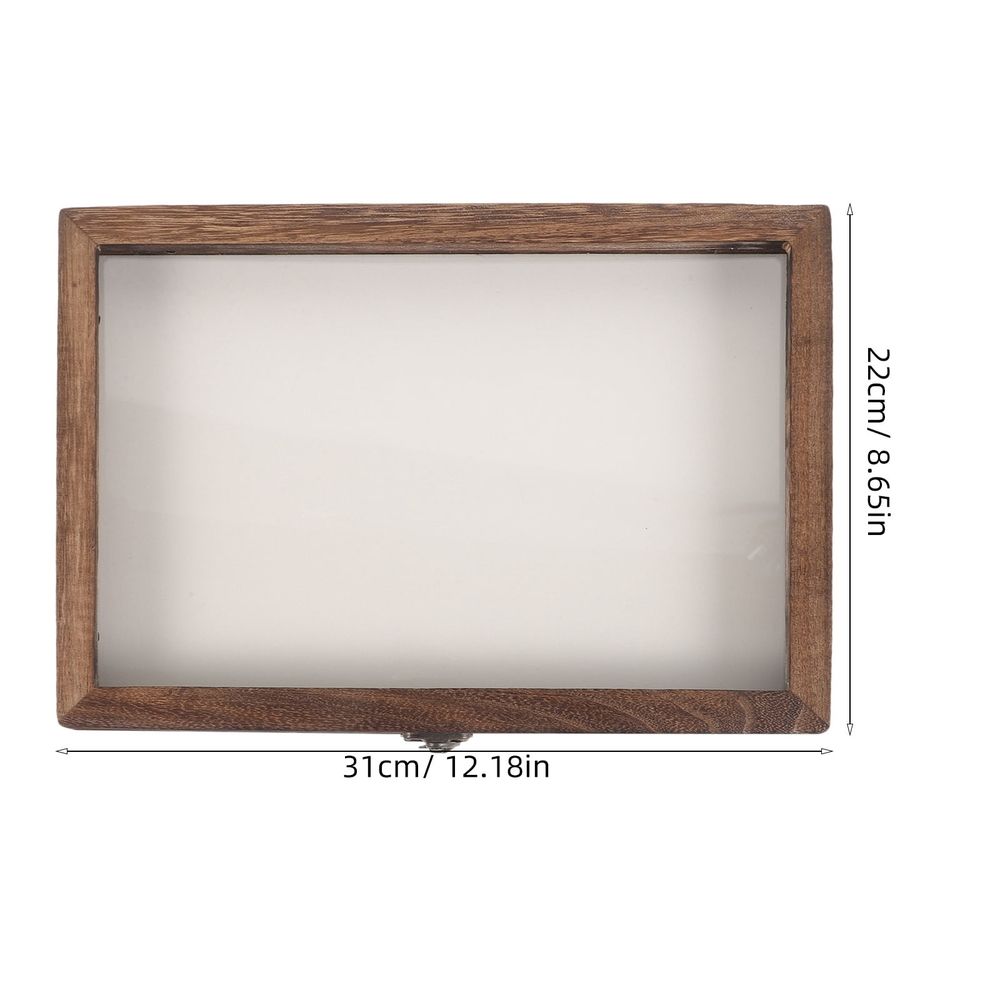 Insect Display Box for Kids, 31x22x4.5cm, Coffee Color, Educational Pinning Kit for Children