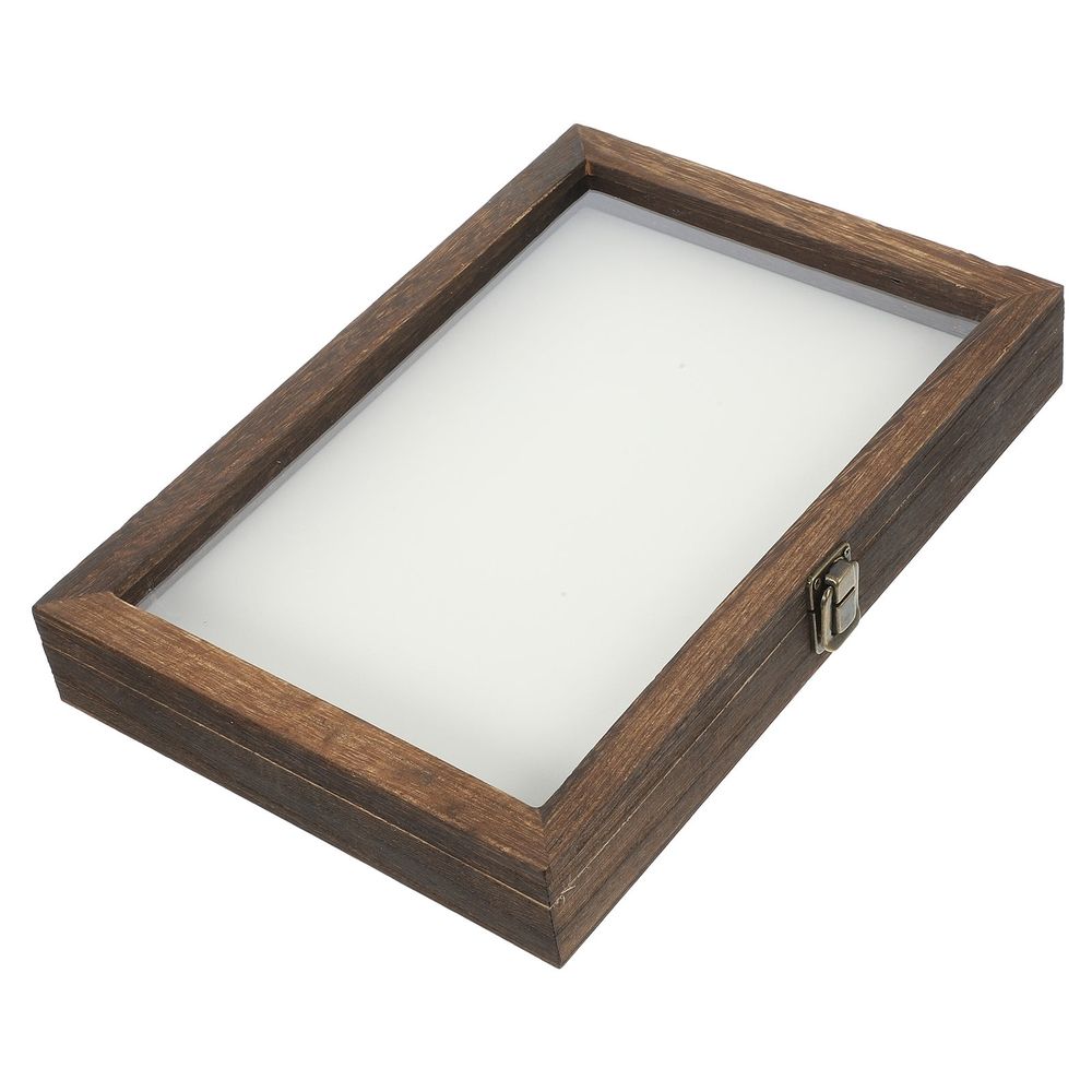 Insect Display Box for Kids, 31x22x4.5cm, Coffee Color, Educational Pinning Kit for Children