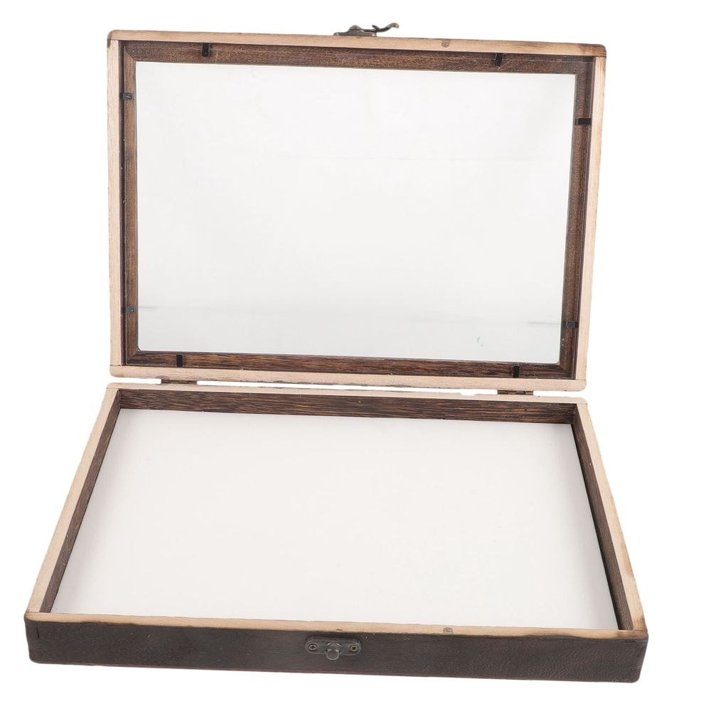 Insect Display Box for Kids, 31x22x4.5cm, Coffee Color, Educational Pinning Kit for Children