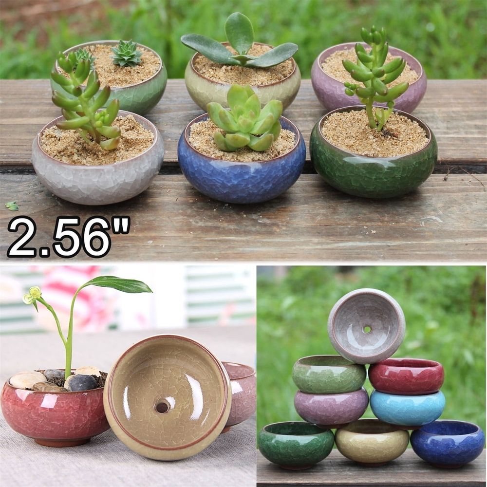Small Ceramic Succulent Pot With Hole Mini Delicate Pot For Plants Tiny Porcelain Planter Air Plant Flower Pot Cactus Faux Plants Container Home And Decor 1pc