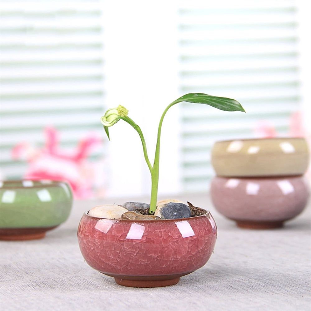 Small Ceramic Succulent Pot With Hole Mini Delicate Pot For Plants Tiny Porcelain Planter Air Plant Flower Pot Cactus Faux Plants Container Home And Decor 1pc