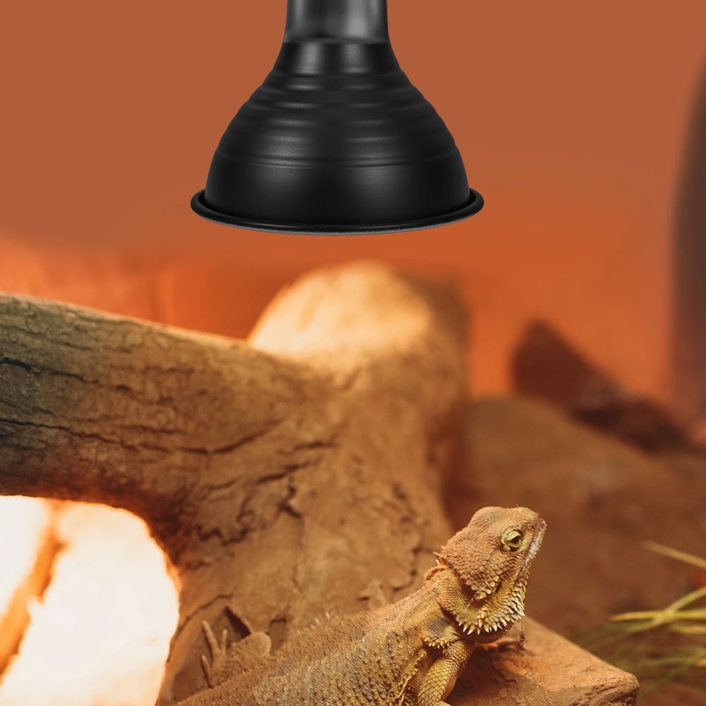 Black Metal Reptile Heat Lamp Shade with Reflector Dome and Insulation for Terrarium Heating Fixtures