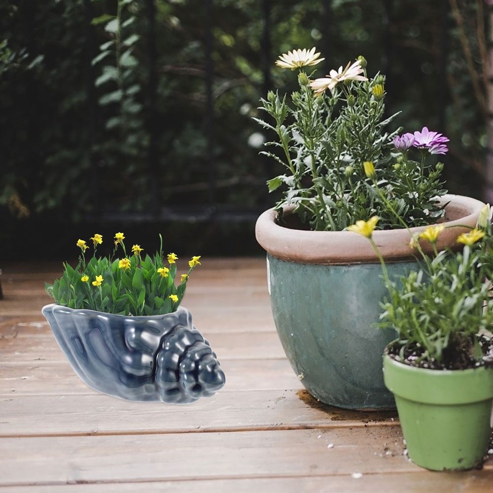 Hanging Plant Pot Conch Creative Flowerpot Design