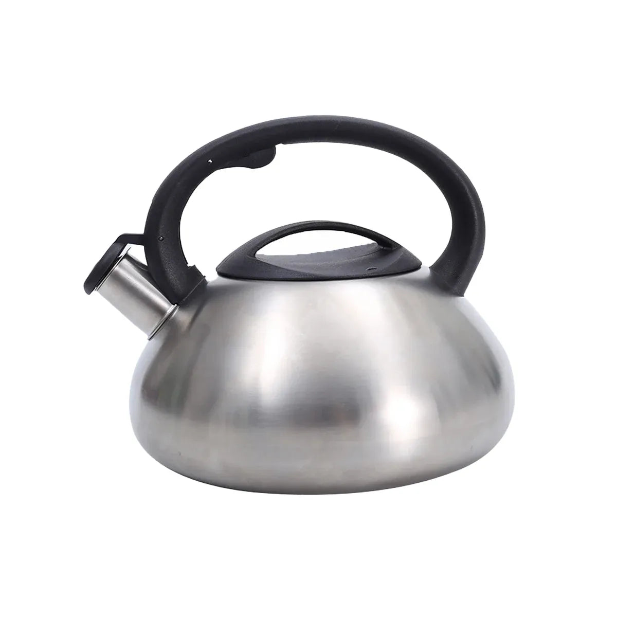 Stainless Steel Whistling Kettle 3L Matte Silver Stove Top Induction Gas Teapot