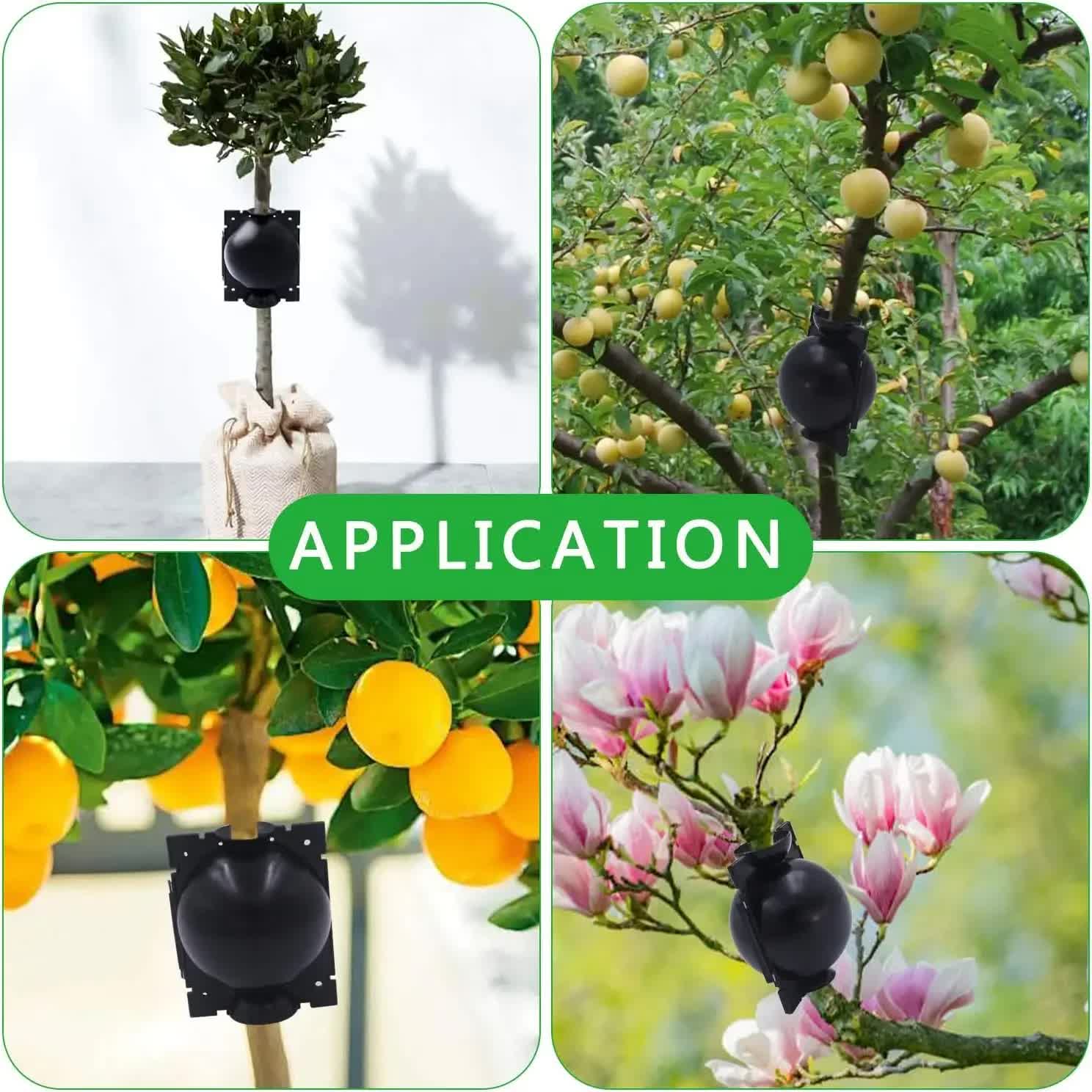 5-Pack Transparent Reusable Plant Air Layering Propagation Pod (Diameter: 5cm) - Anti-Waterlogging Grafting Root Ball Rooting Device for Flower & Fruit Trees