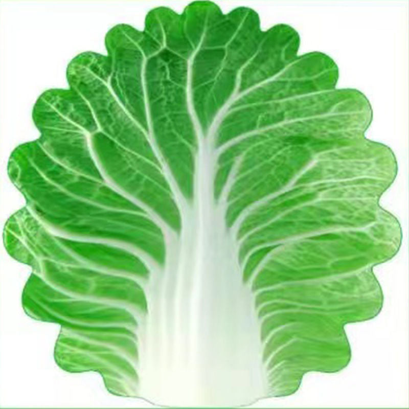 Cute Cabbage-Shaped Fleece Blanket – Fun and Cozy Throw for Naps, Office Use, Air Conditioning, or Baby Swaddling (Green & White)(180cm*180cm)