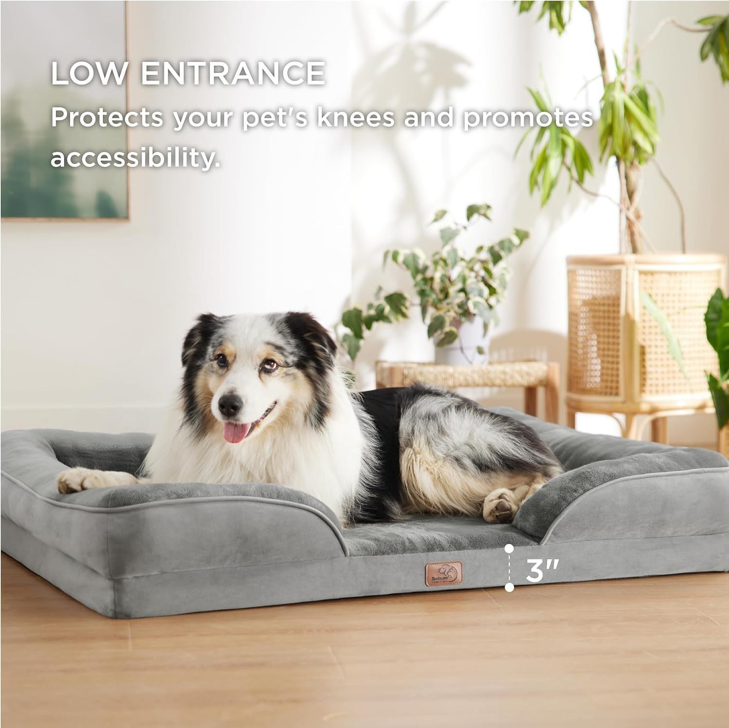 Brown Waterproof Egg-Crate Foam Therapeutic Pet Sofa Bed and Fleece Lounge (M Size 74 x 53 x 17 CM) - Low Entry, High Bolster Support & Zipper Removable Cover