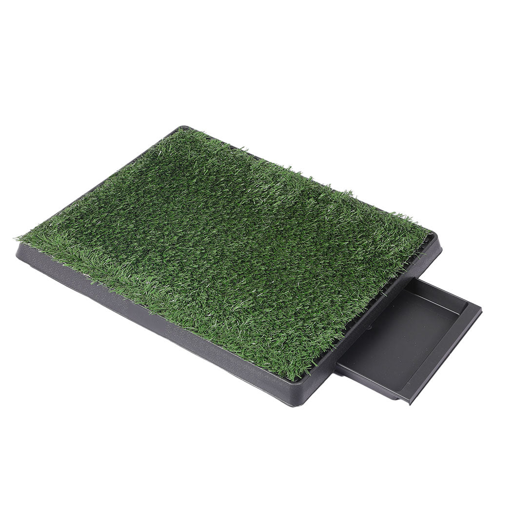 PaWz Indoor Dog Pet Grass Potty Training-1942353082570641408