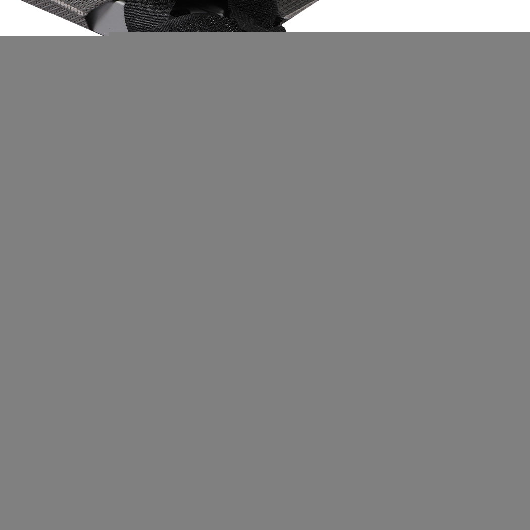 PaWz Elevated Pet Bed Dog Puppy Cat L Large-1942353087947739139