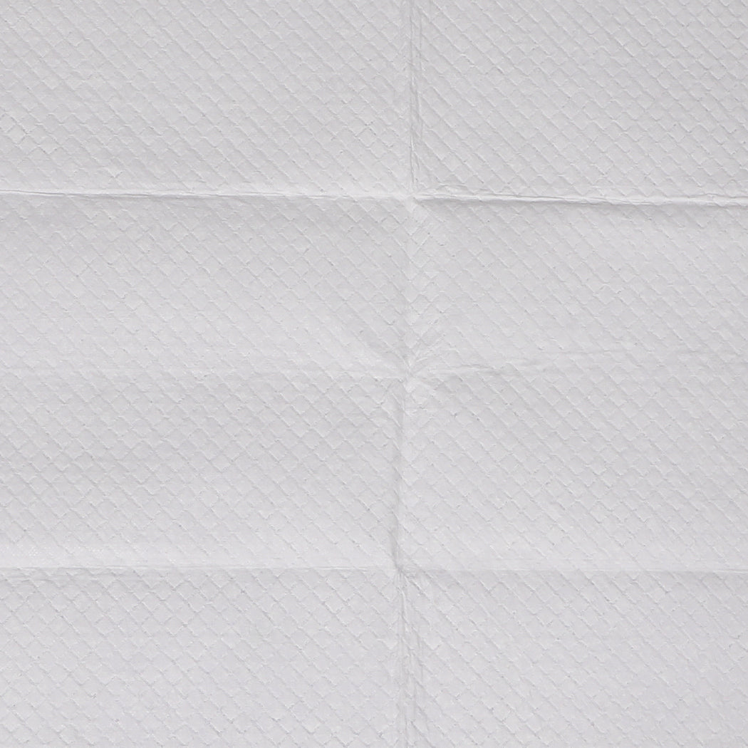 PaWz 400x Pet Dog Toilet Training Pad-1942352761647665157