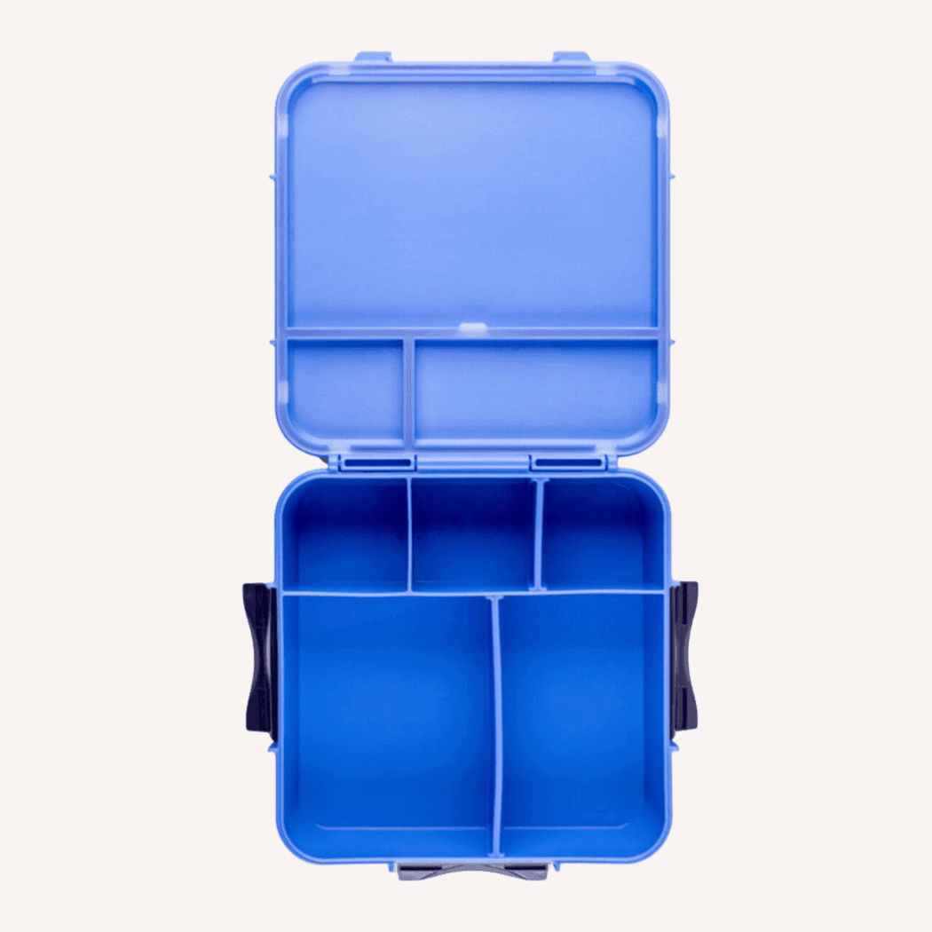 MONTII.CO Bento Plus | Blueberry-1910112392289849345