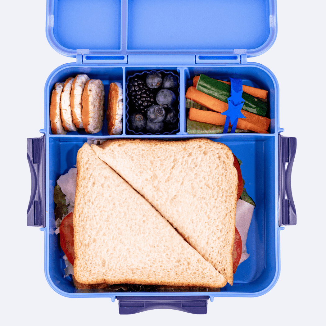 MONTII.CO Bento Plus | Blueberry-1910112392289849346