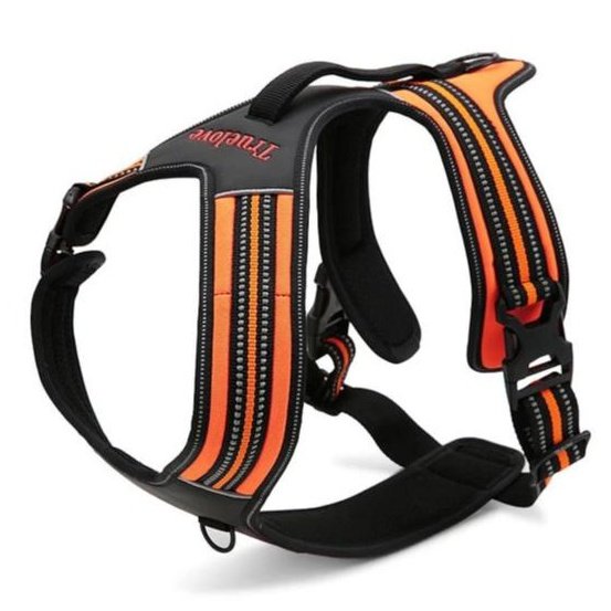 True Love Heavy Duty Sports Dog Harness - Orange, S-1831155628517756928